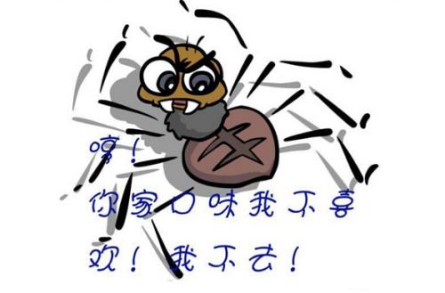 武汉SEO:什么是蜘蛛池/SEO蜘蛛池如何养?蜘蛛池的原理和作用解答