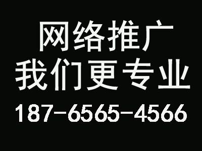 海联信息网站优化:百度关键词seo优化排名带领家居装建材企业实