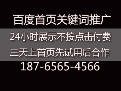 海联信息网站优化:百度关键词seo优化排名带领家居装建材企业实