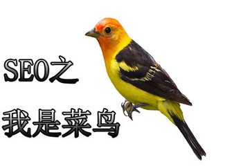 1517811507503358.jpg 【百度培训】关键词上不了首页有可能是因为这些因素