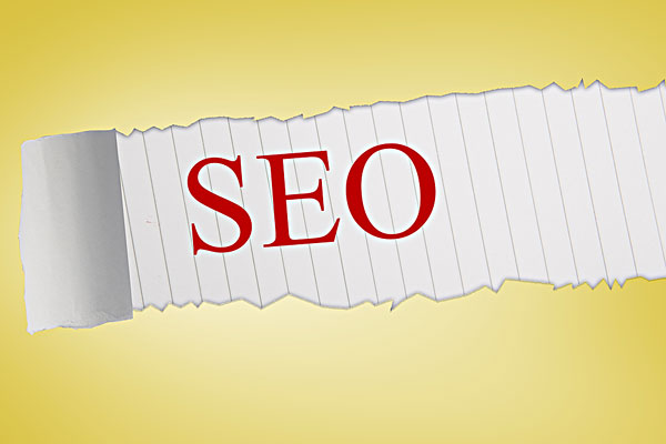 seo专家培训:seo如何让网站索引量飙升