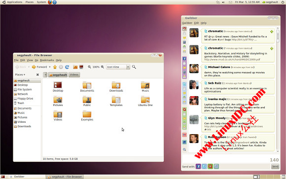 Ubuntu 10.04最新主题抢先体验